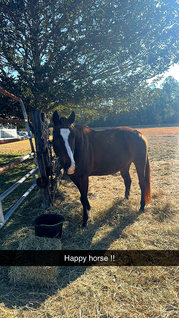 mckinley_1 image ~ Altpins