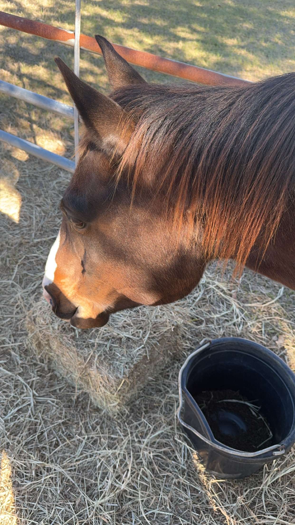 mckinley_1 snapchat image archive image