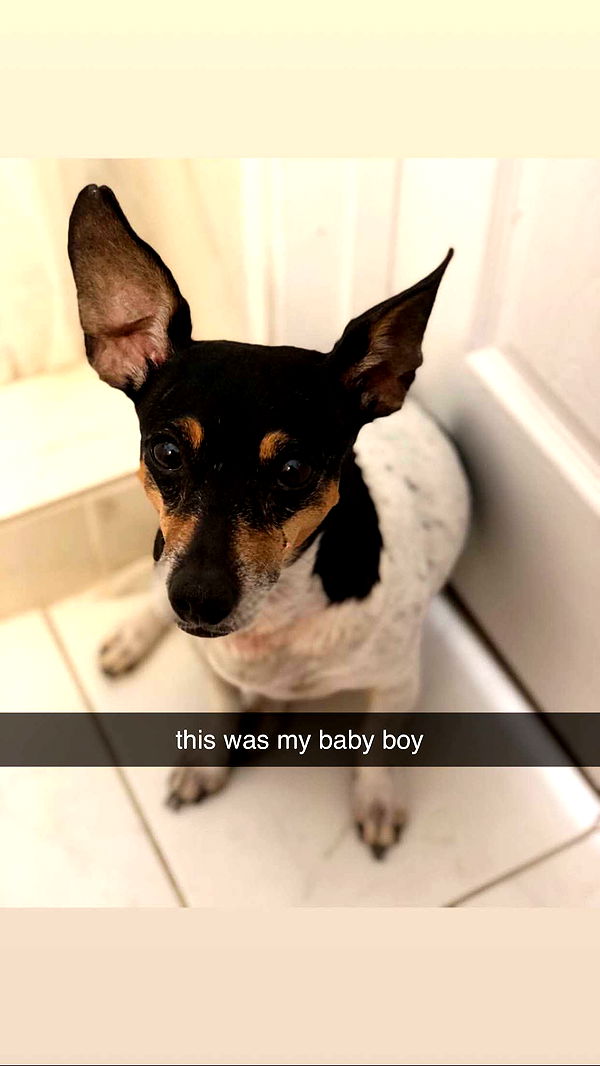 mckinley_1 image ~ Altpins