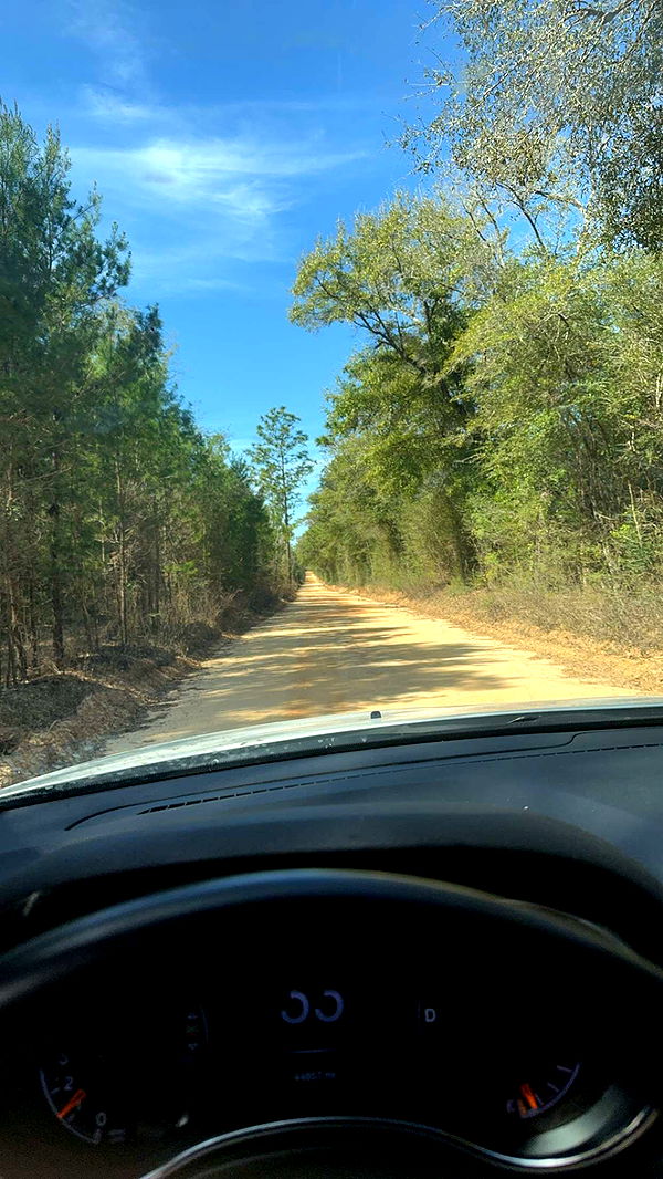 mckinley_1 image ~ Altpins