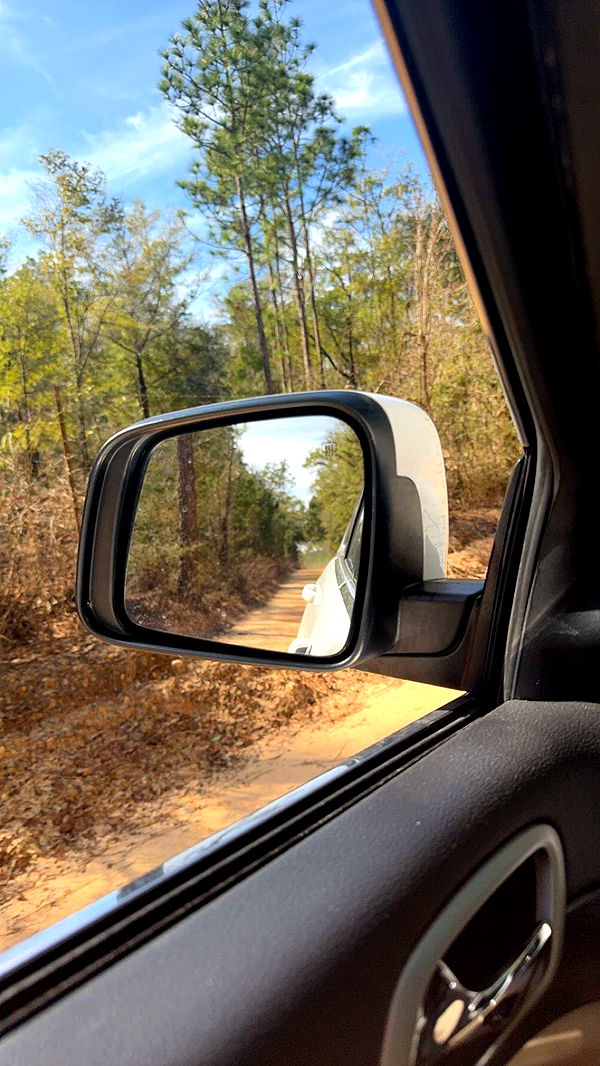 mckinley_1 image ~ Altpins