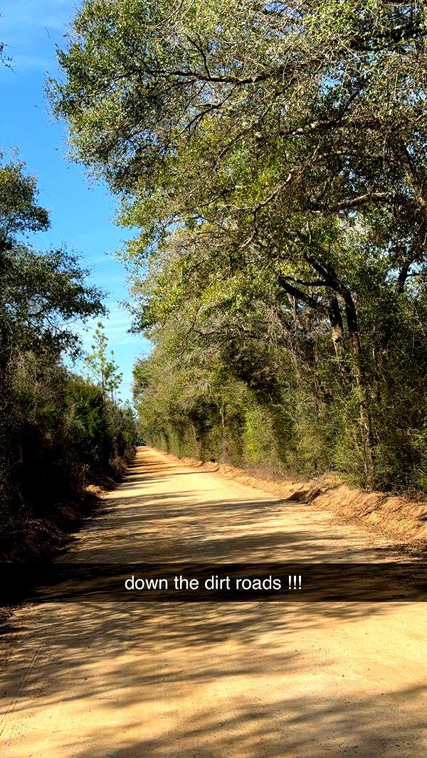 mckinley_1 image ~ Altpins