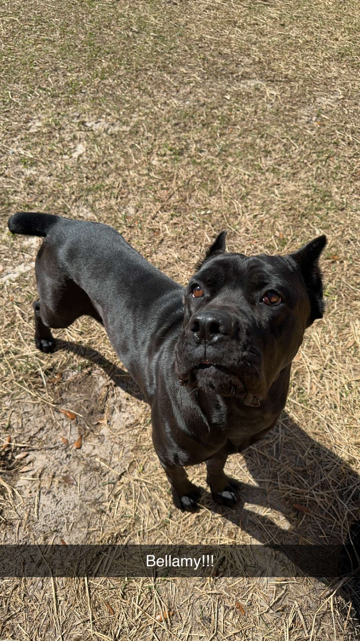 mckinley_1 snapchat image archive image