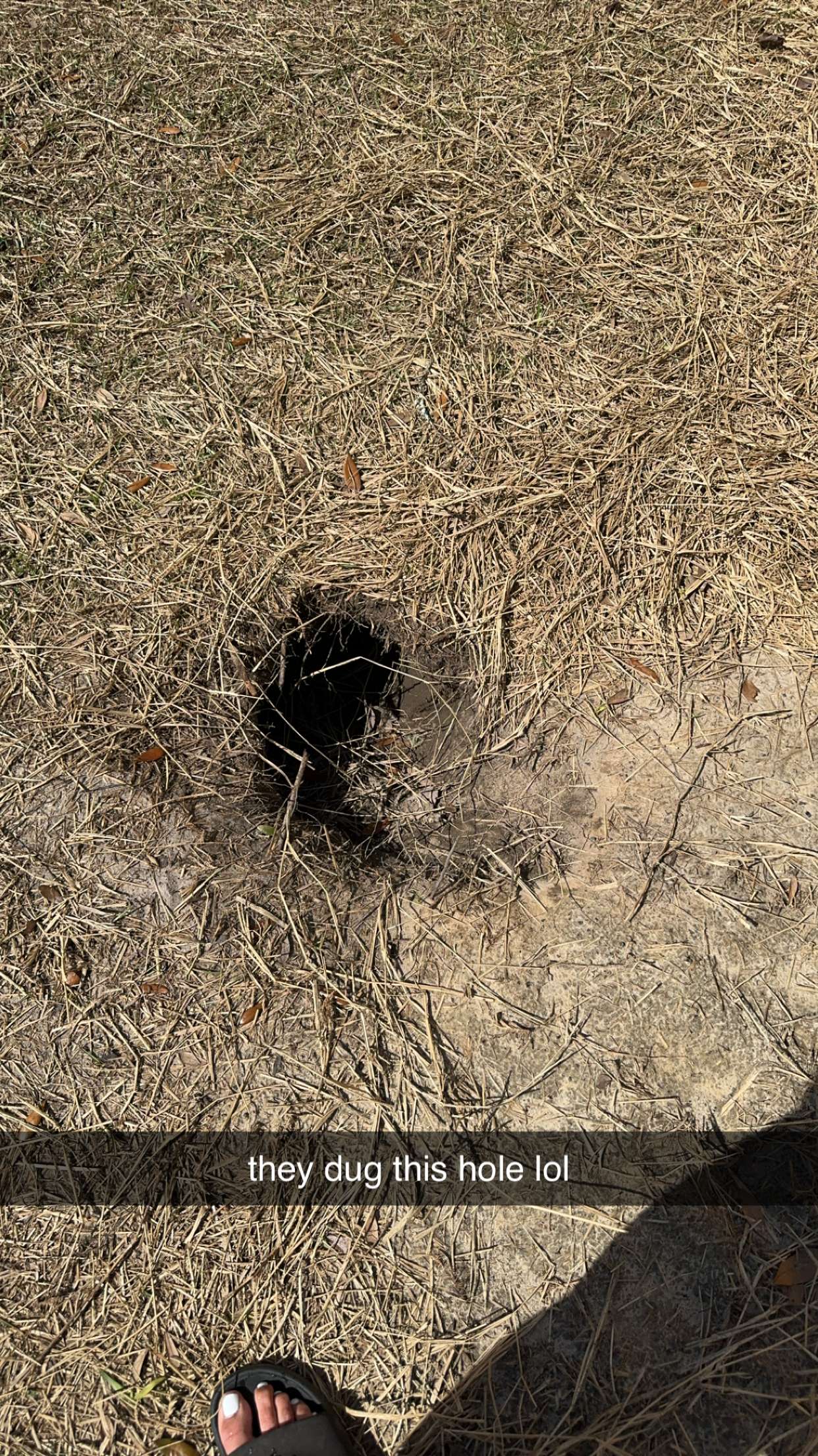 mckinley_1 snapchat image archive image