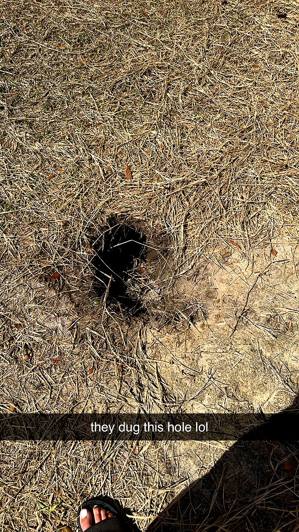 mckinley_1 image ~ Altpins