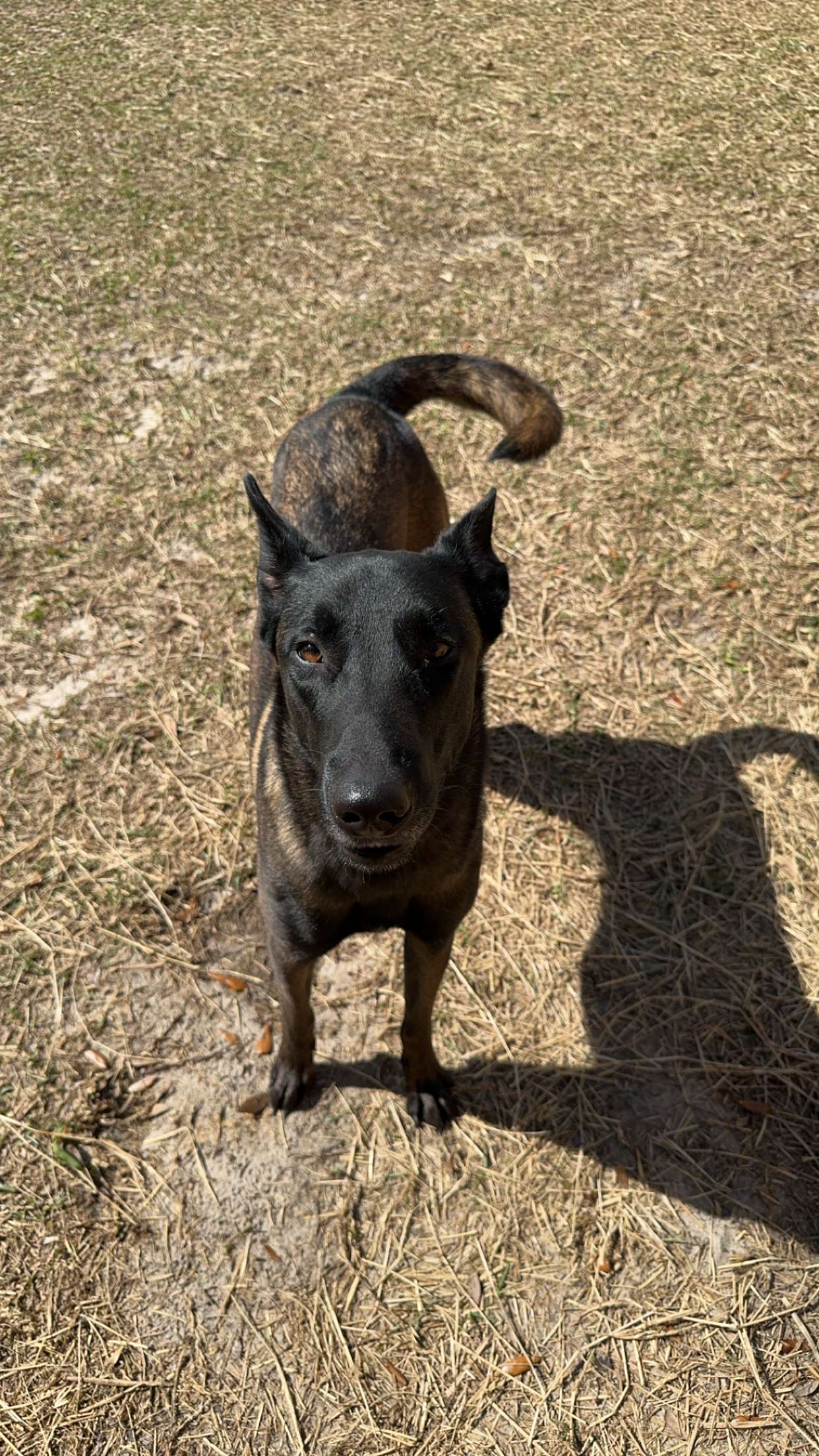 mckinley_1 snapchat image archive image