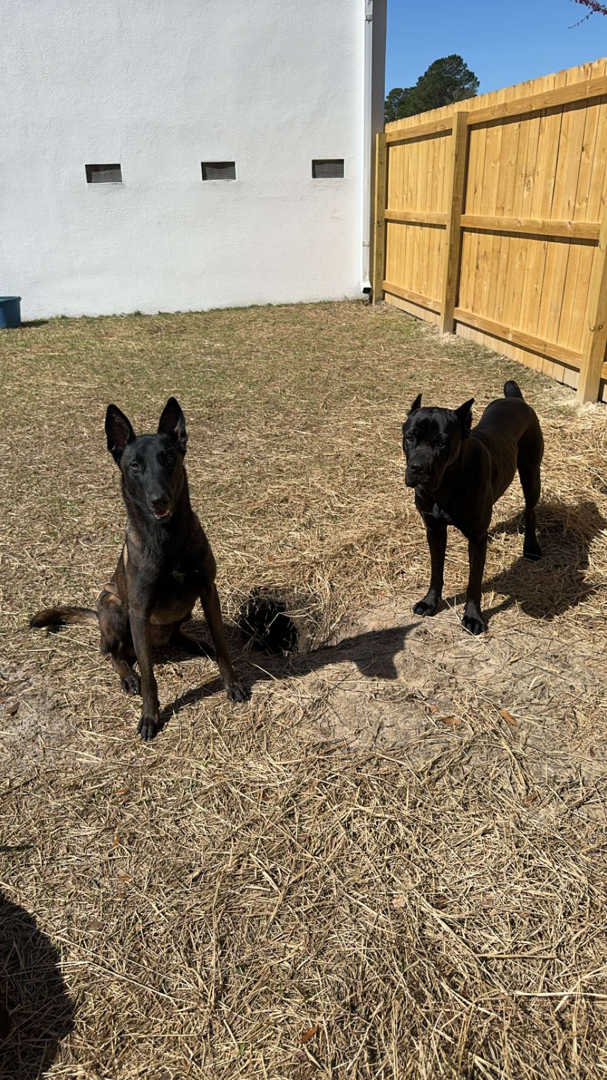 mckinley_1 snapchat image archive image