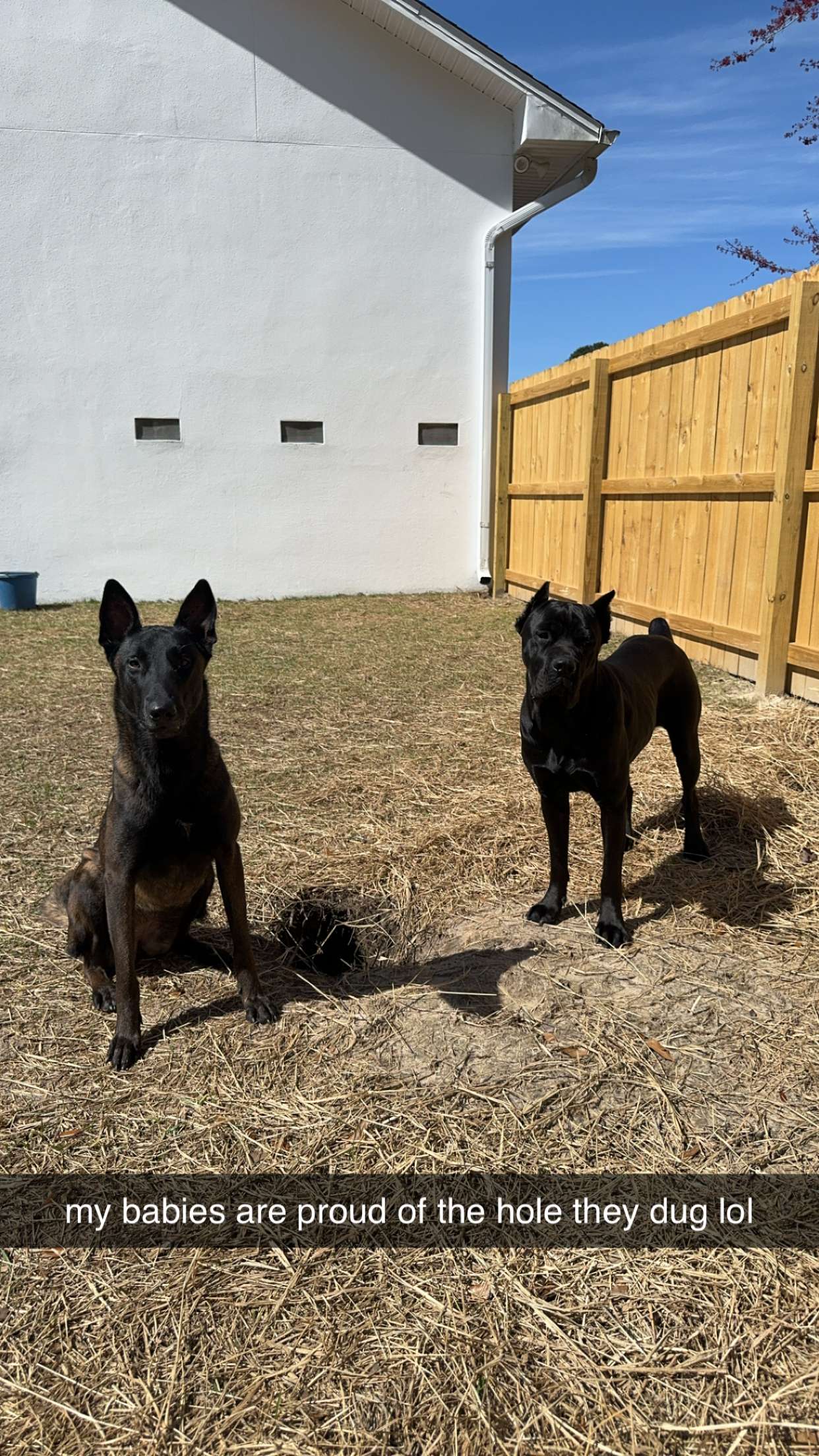 mckinley_1 snapchat image archive image