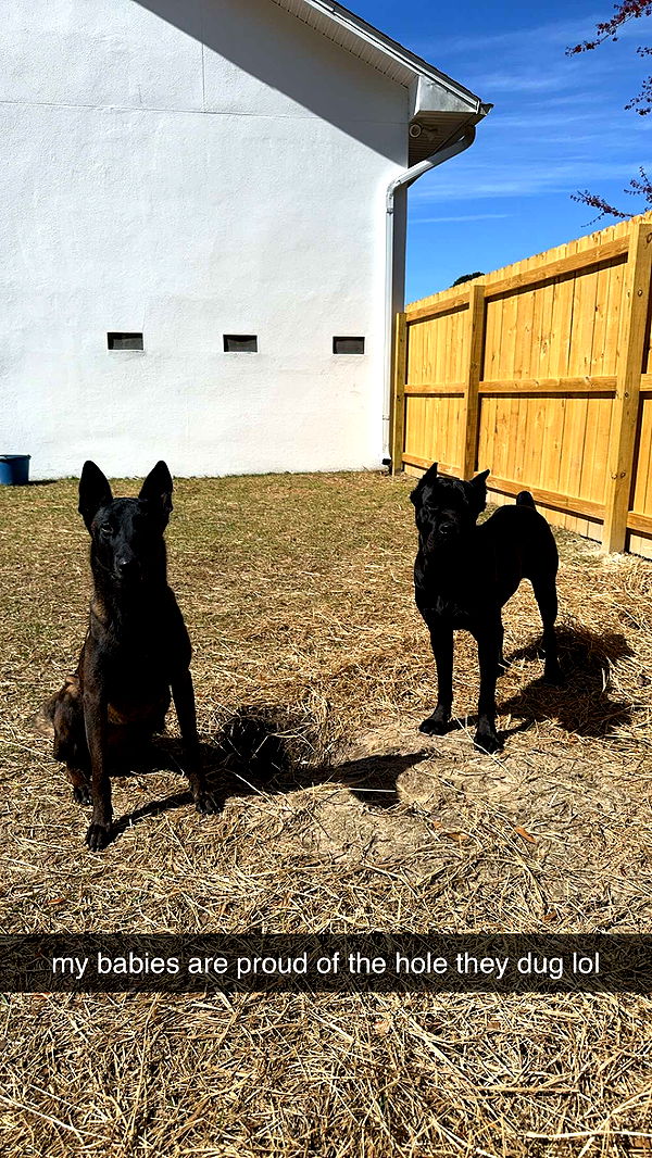 mckinley_1 image ~ Altpins