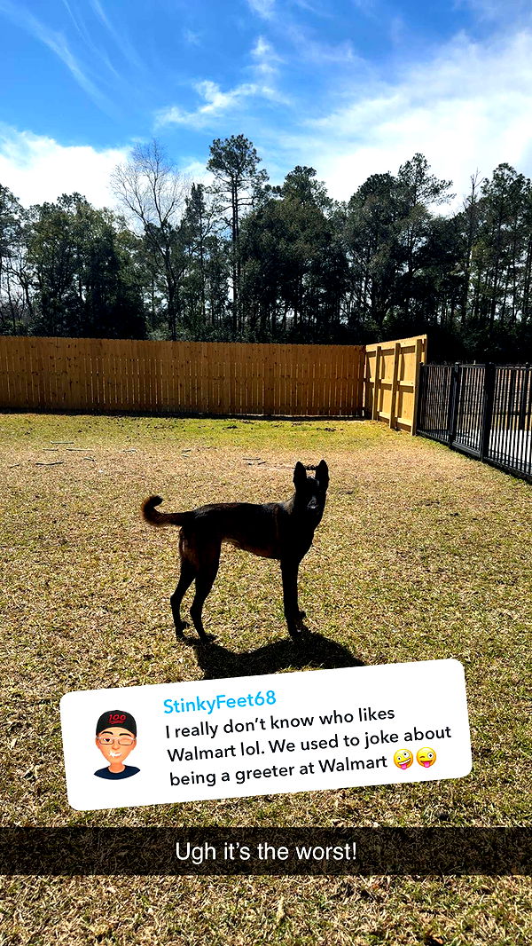 mckinley_1 image ~ Altpins