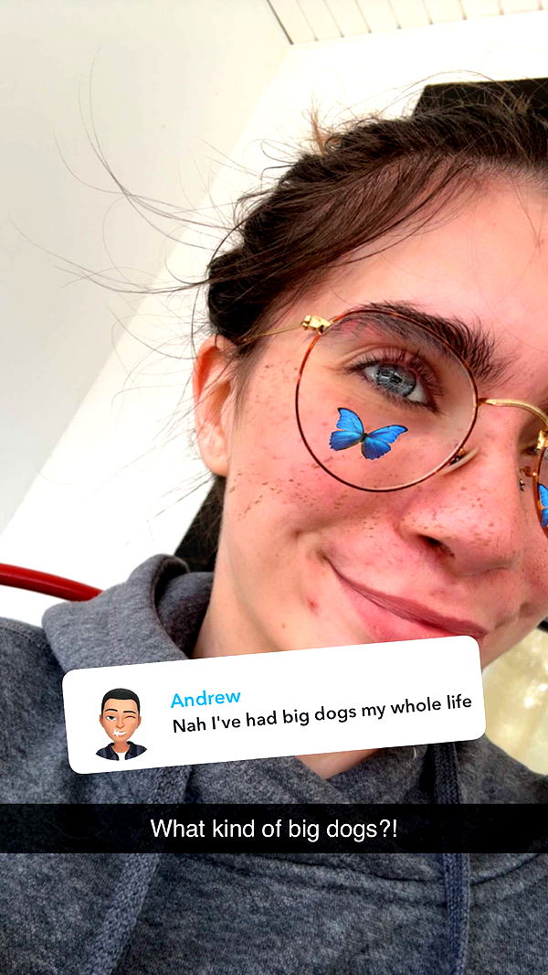 mckinley_1 image ~ Altpins