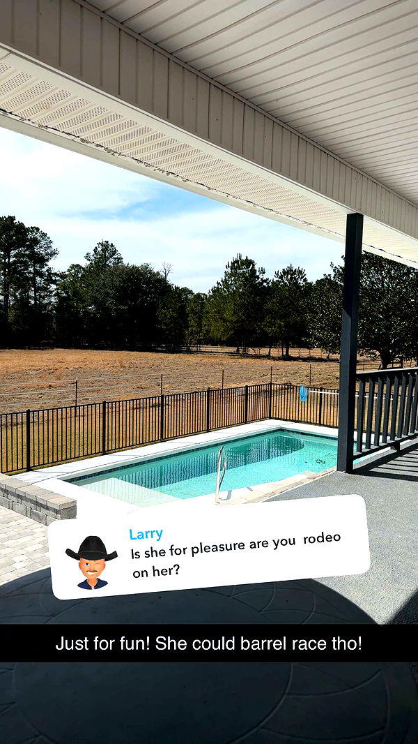 mckinley_1 image ~ Altpins