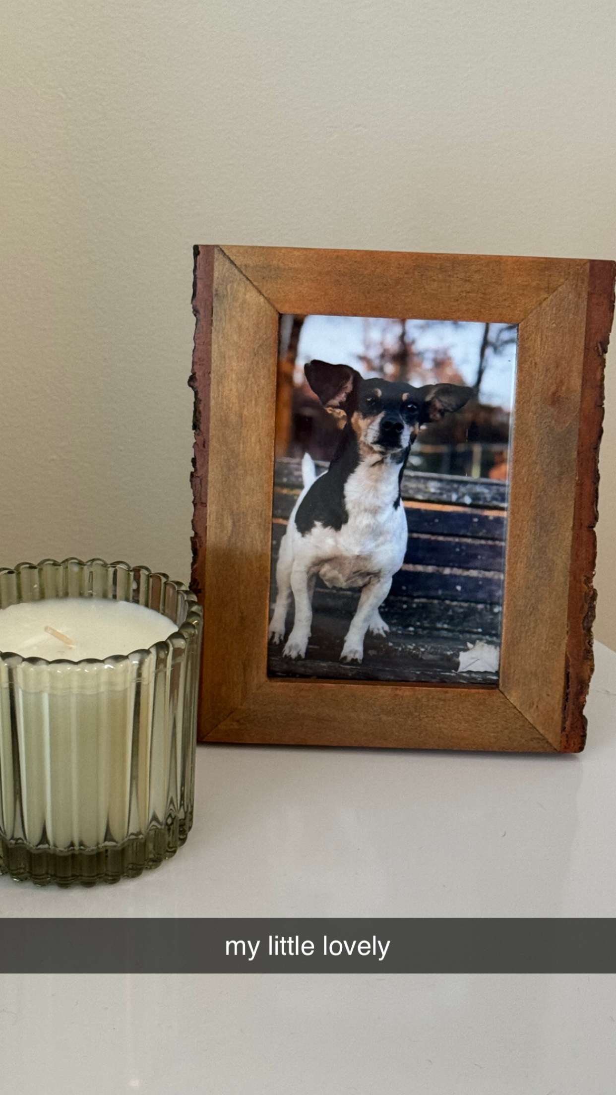 mckinley_1 snapchat image archive image