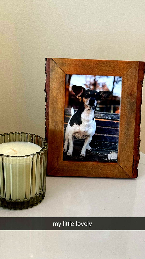 mckinley_1 image ~ Altpins