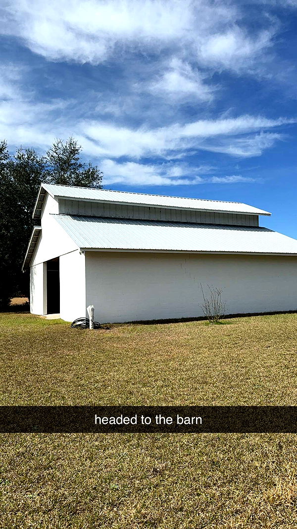 mckinley_1 image ~ Altpins