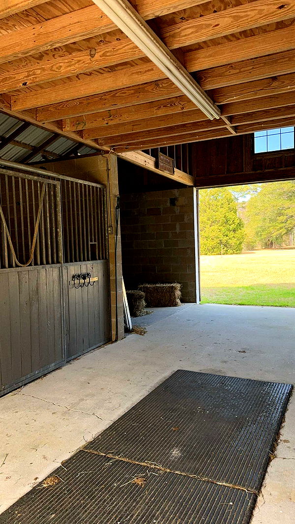 mckinley_1 image ~ Altpins