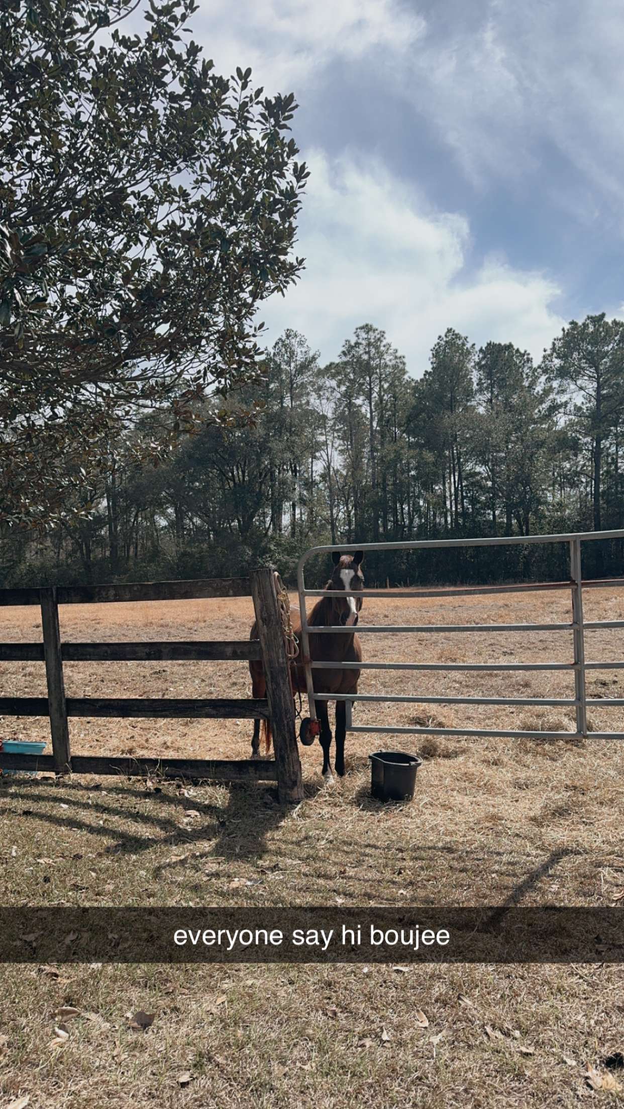 mckinley_1 snapchat image archive image