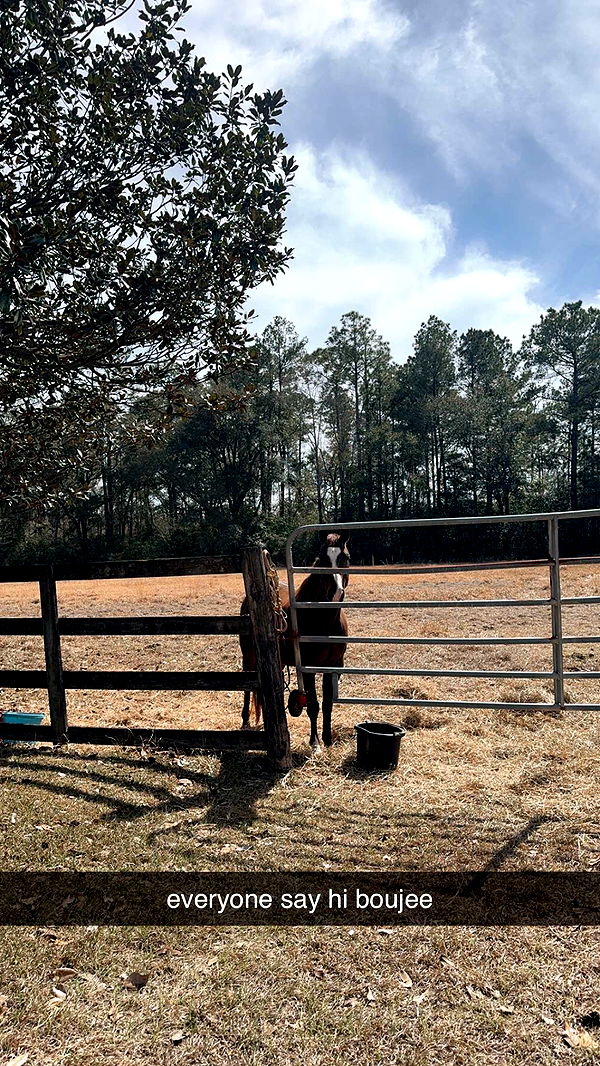 mckinley_1 image ~ Altpins