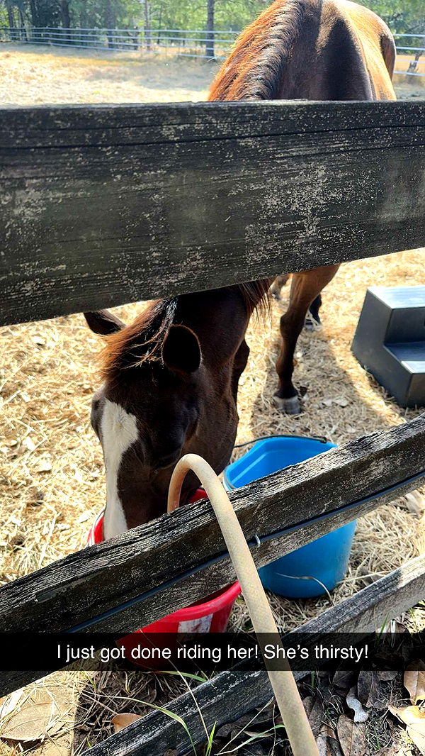 mckinley_1 image ~ Altpins