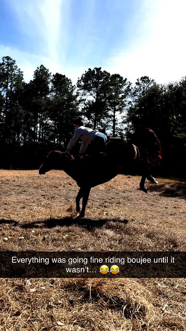 mckinley_1 image ~ Altpins