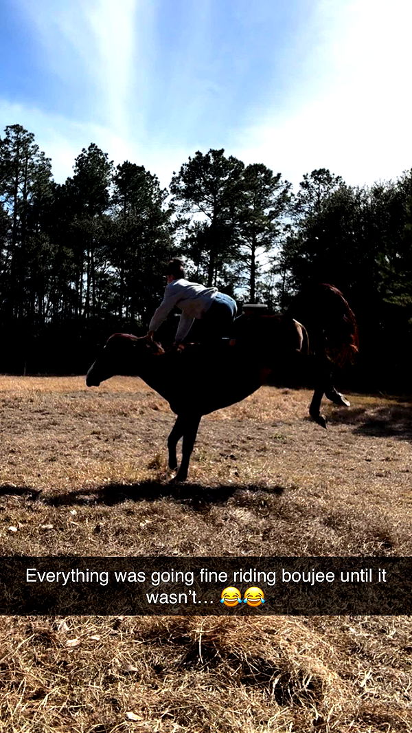 mckinley_1 image ~ Altpins