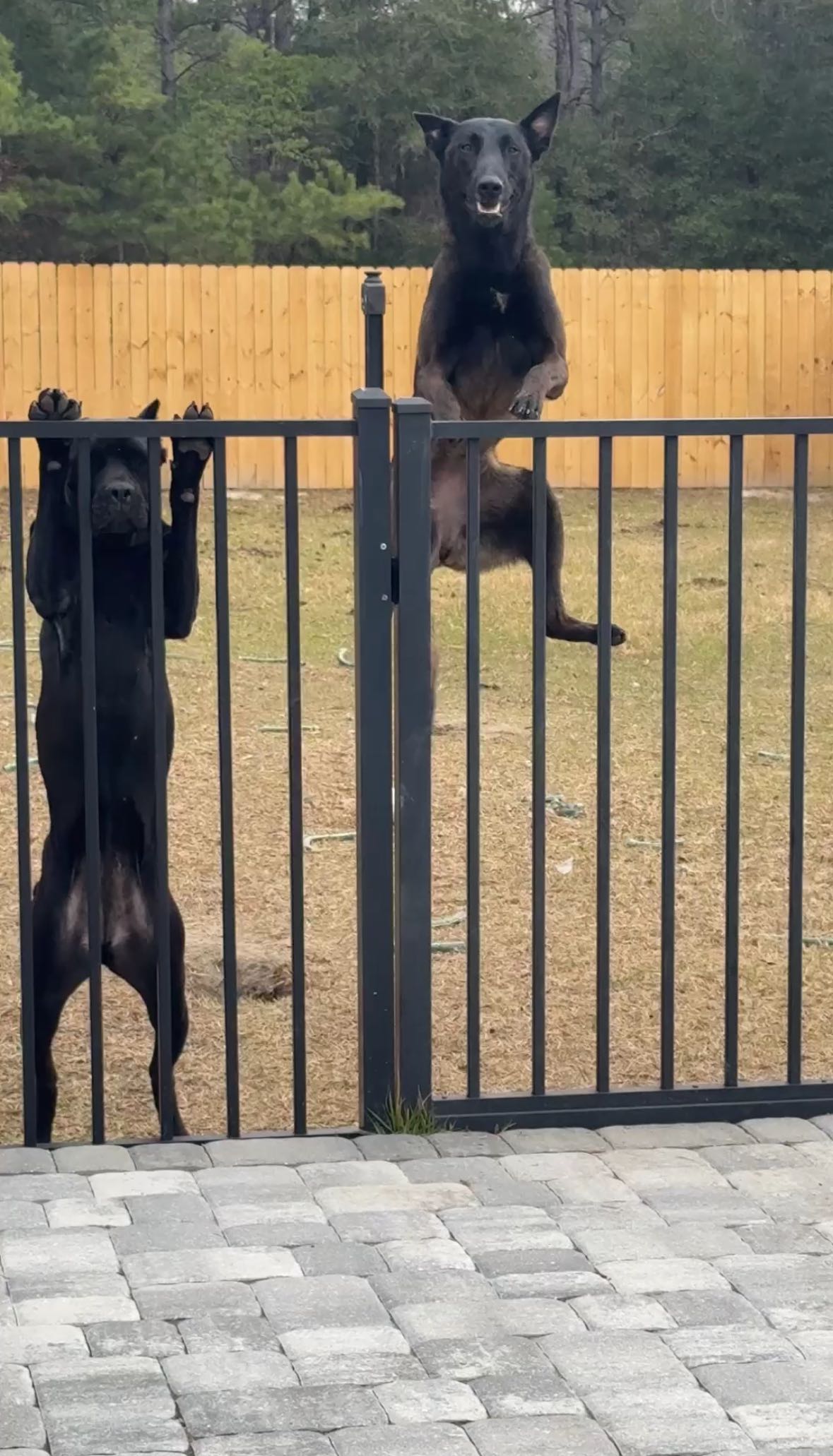 mckinley_1 snapchat image archive image