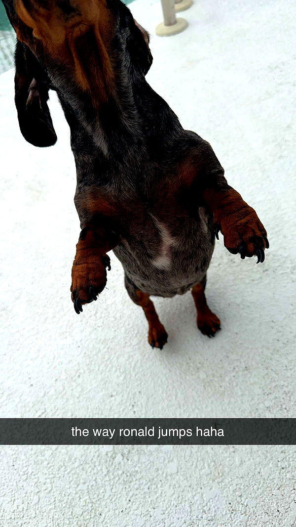 mckinley_1 image ~ Altpins