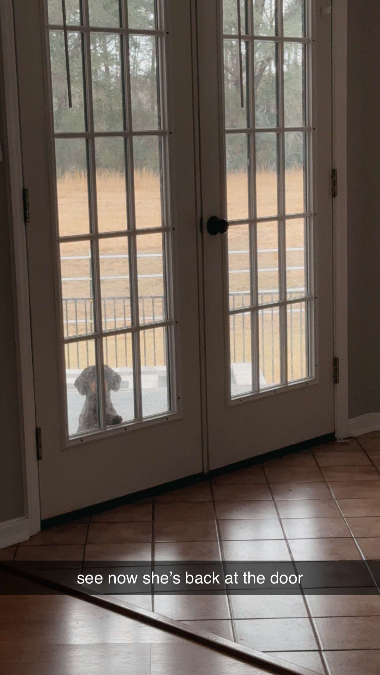 mckinley_1 snapchat image archive image