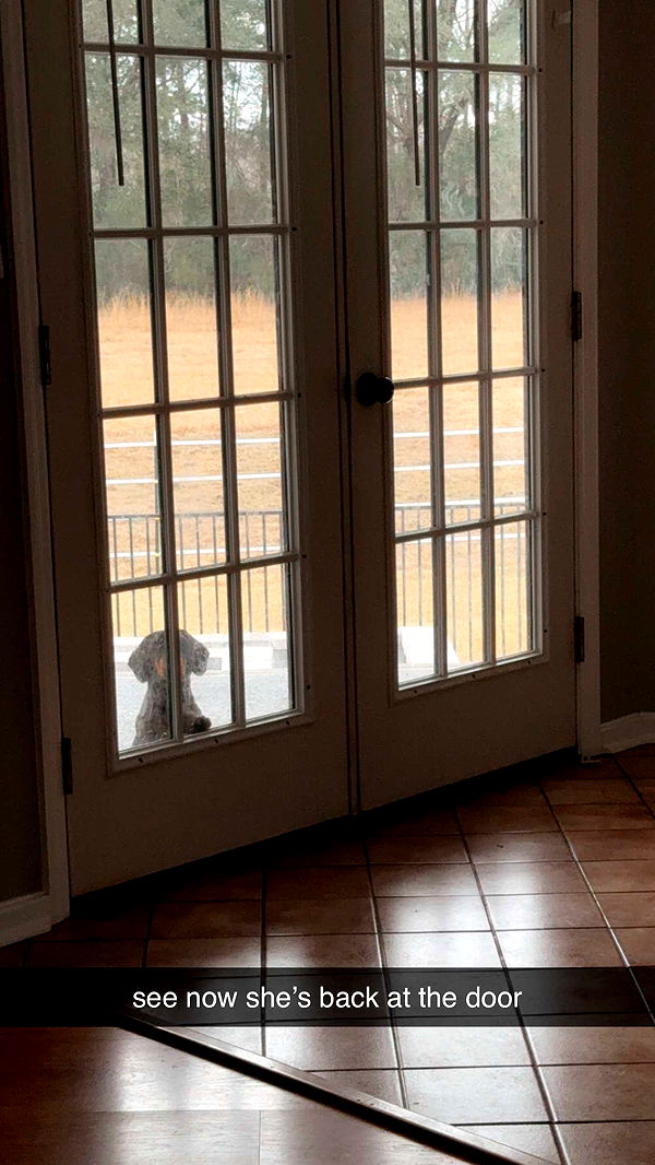 mckinley_1 image ~ Altpins