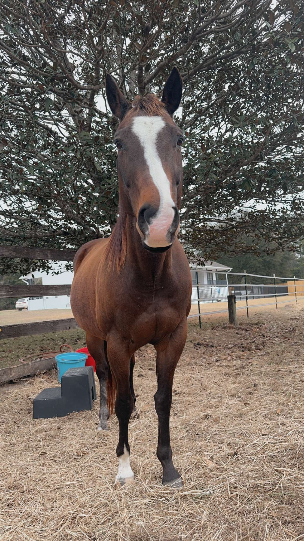 mckinley_1 snapchat image archive image