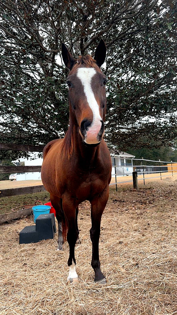 mckinley_1 image ~ Altpins