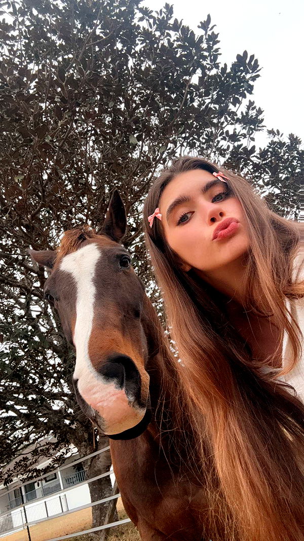 mckinley_1 image ~ Altpins