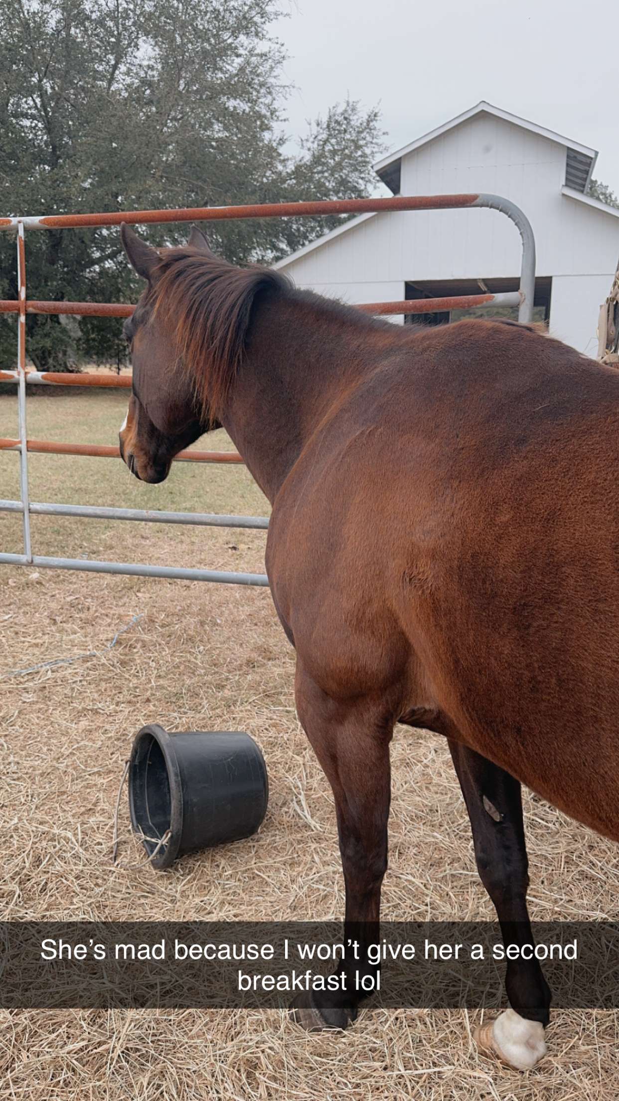 mckinley_1 snapchat image archive image