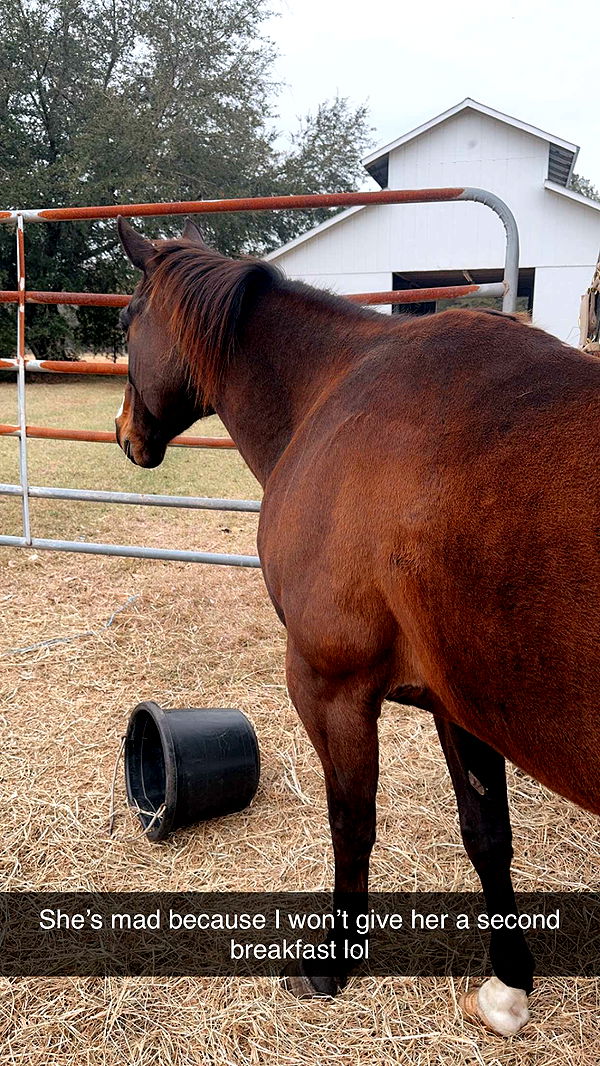 mckinley_1 image ~ Altpins