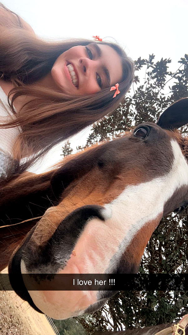 mckinley_1 image ~ Altpins