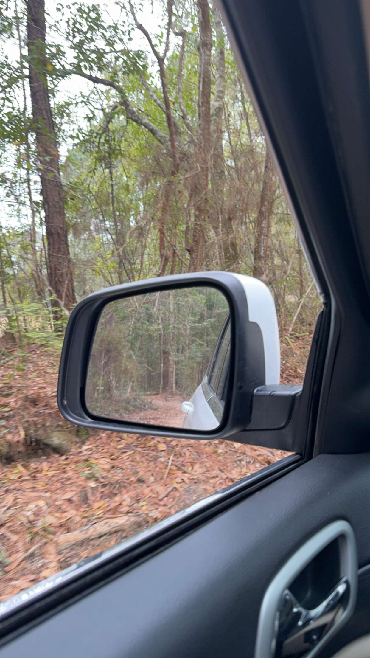 mckinley_1 snapchat image archive image