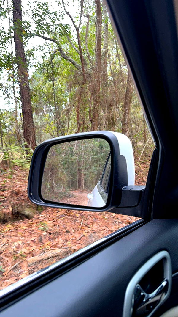 mckinley_1 image ~ Altpins