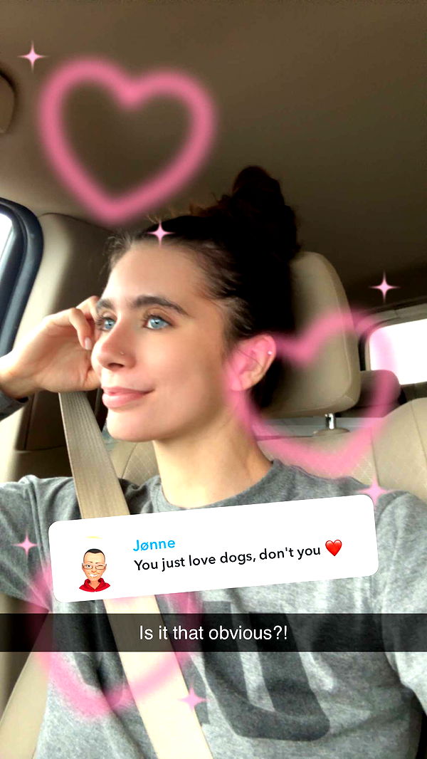 mckinley_1 image ~ Altpins