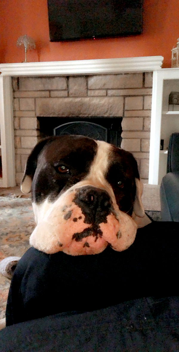 mckinley_1 image ~ Altpins