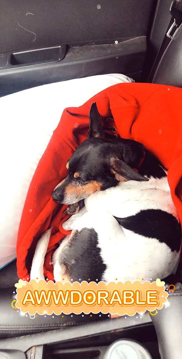 mckinley_1 image ~ Altpins