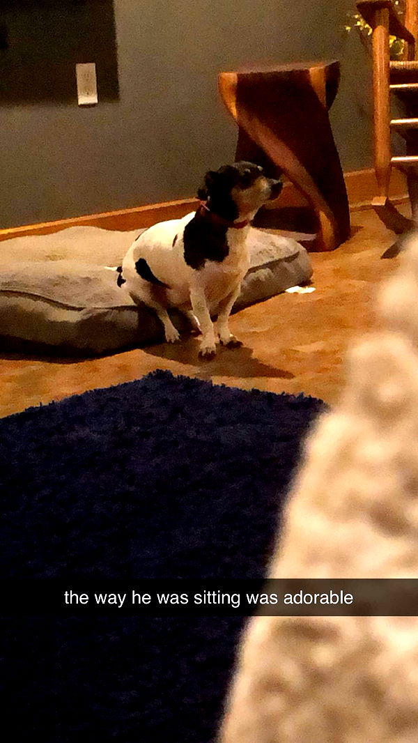 mckinley_1 image ~ Altpins