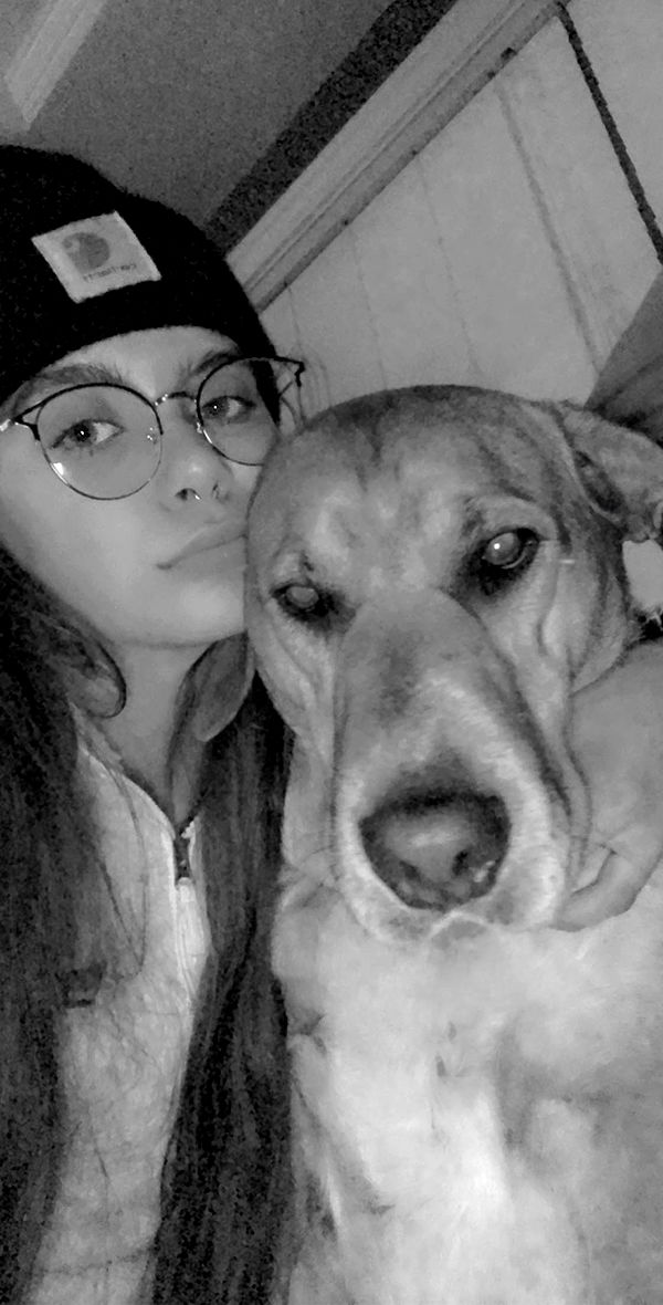 mckinley_1 image ~ Altpins