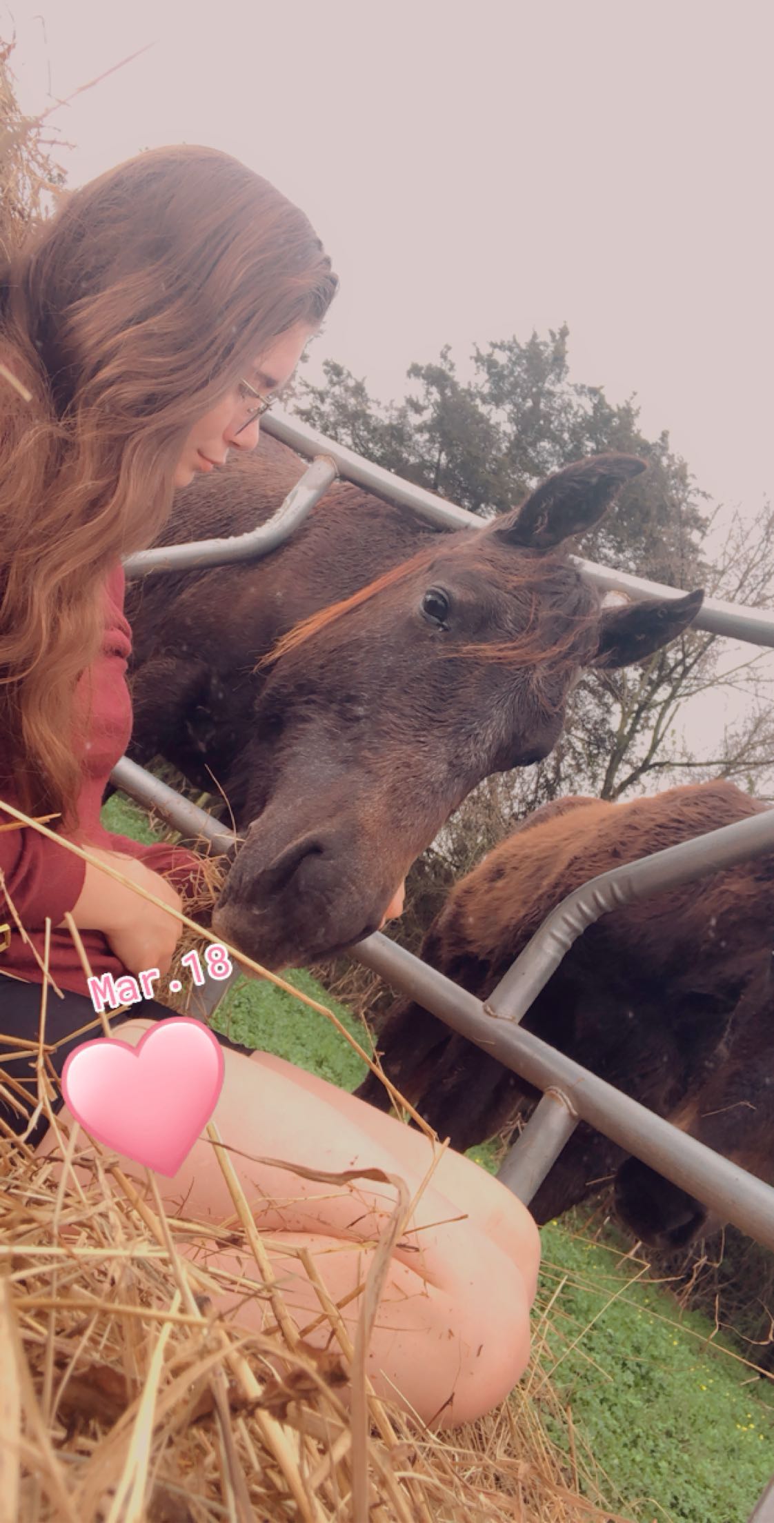 mckinley_1 snapchat image archive image