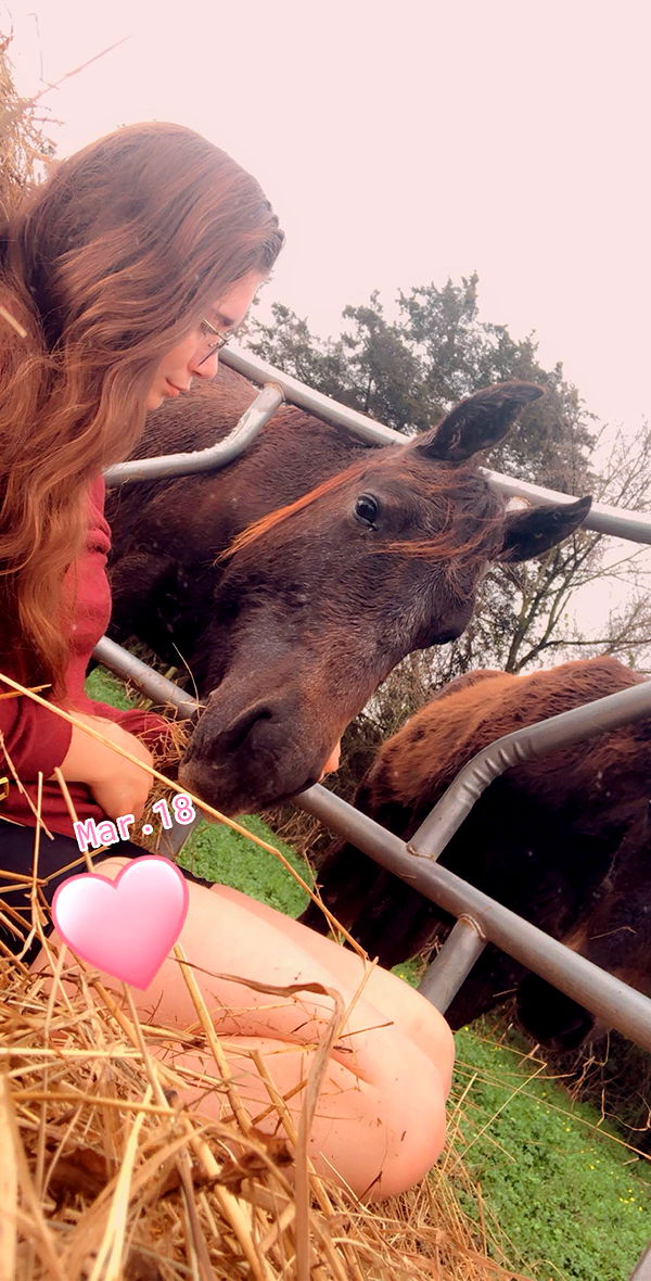 mckinley_1 image ~ Altpins