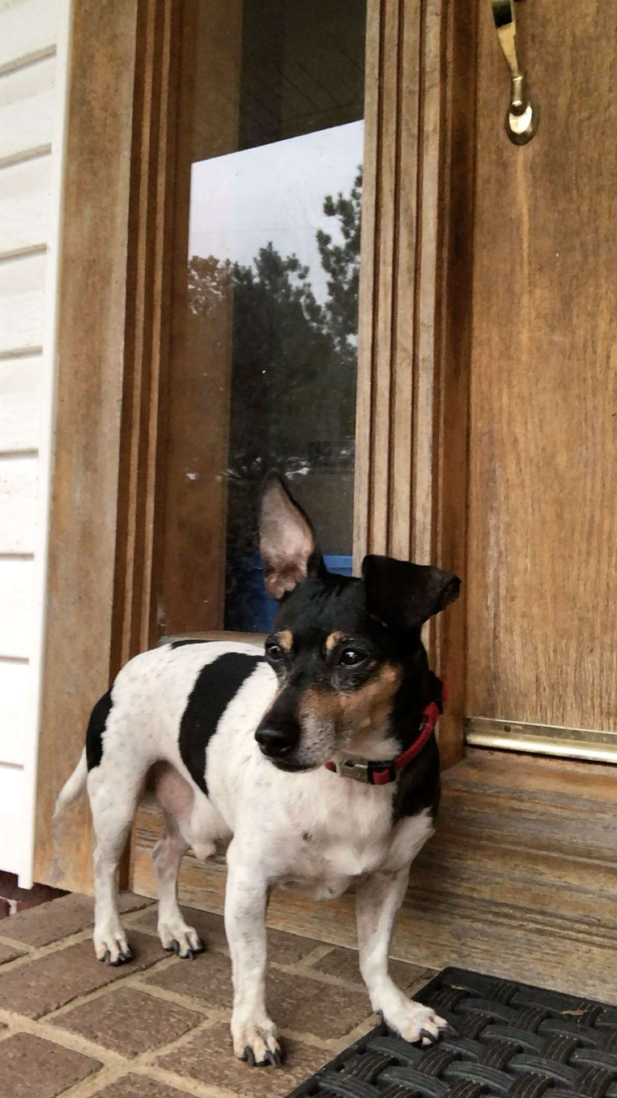 mckinley_1 snapchat image archive image