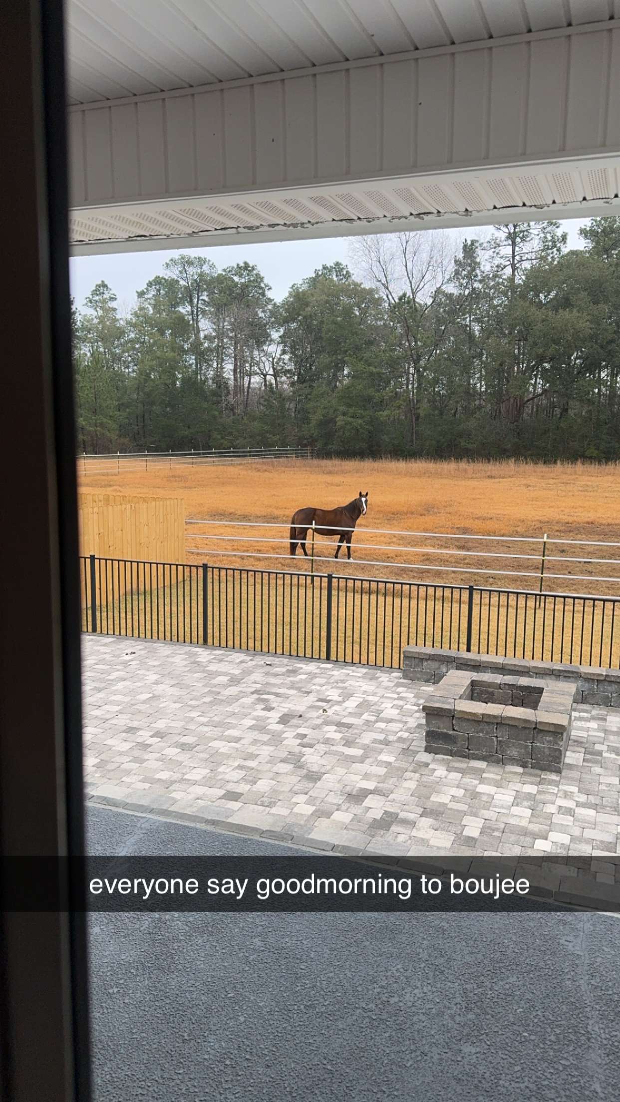 mckinley_1 snapchat image archive image