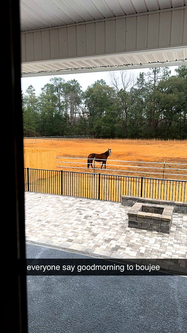 mckinley_1 image ~ Altpins