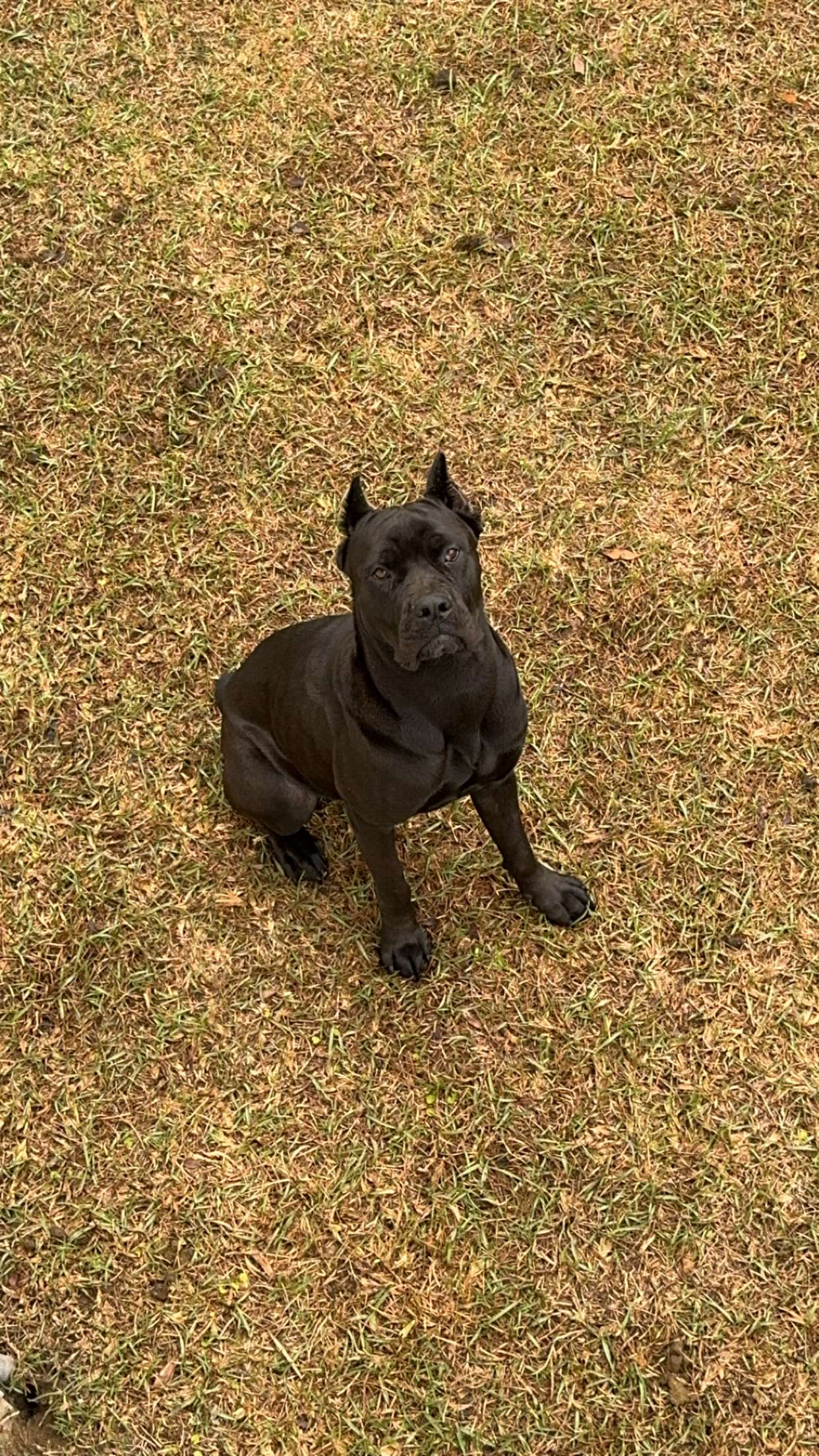 mckinley_1 snapchat image archive image