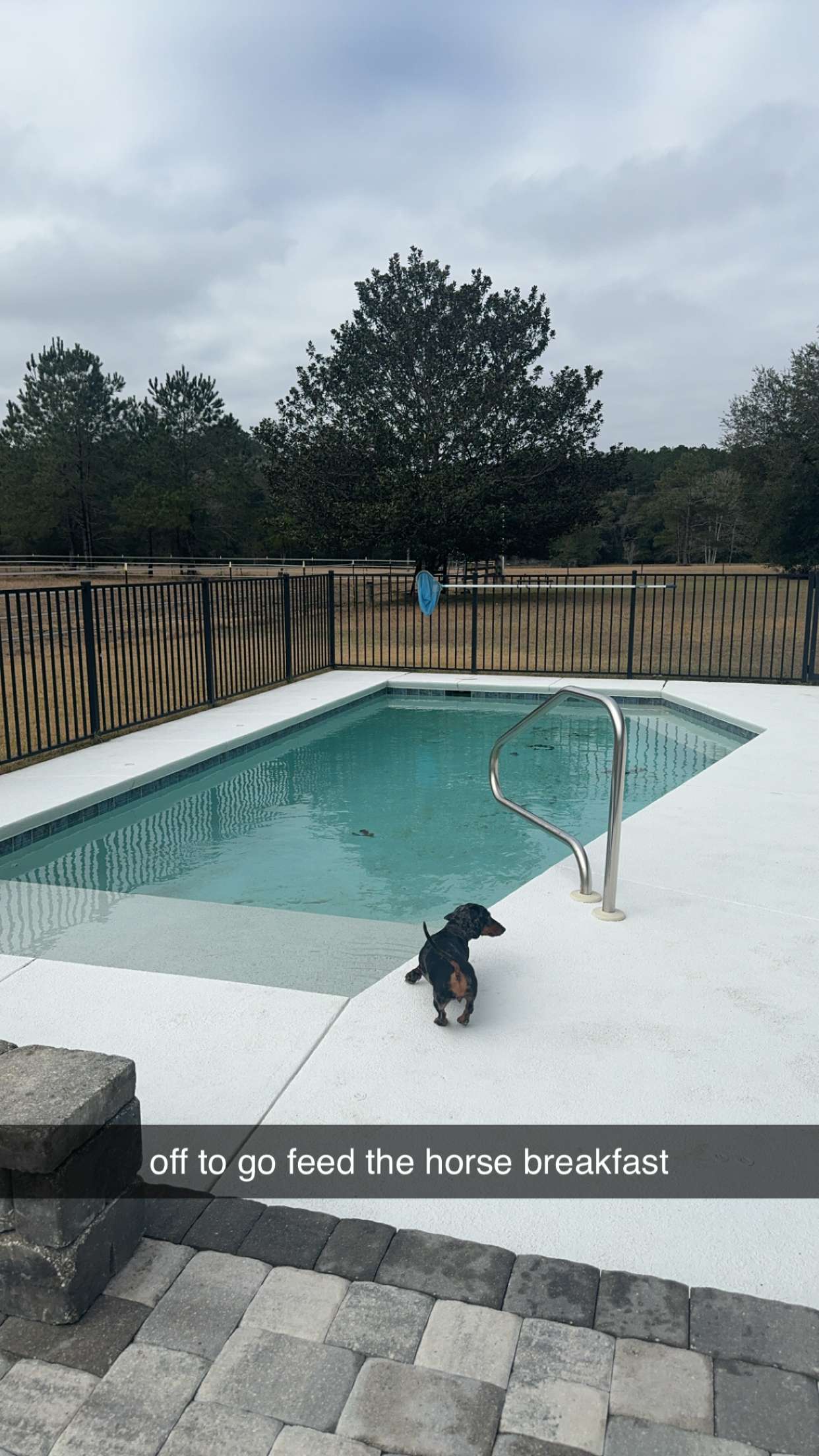 mckinley_1 snapchat image archive image