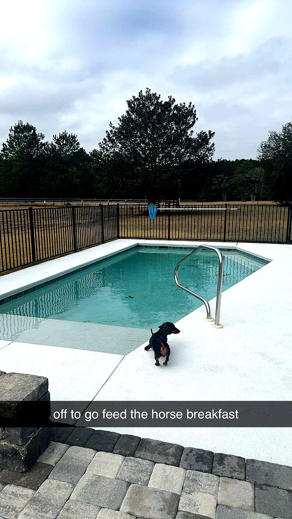 mckinley_1 image ~ Altpins